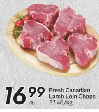Sobeys Fresh canadian lamb loin chops offer