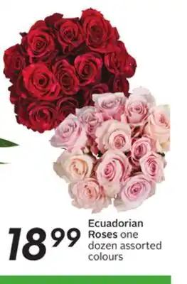 Sobeys Ecuadorian roses offer