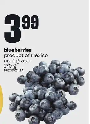 Independent Grocer Blueberries, 170 g offer