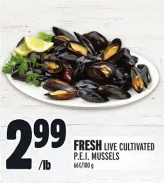 Metro Fresh live cultivated p.e.i. mussels offer