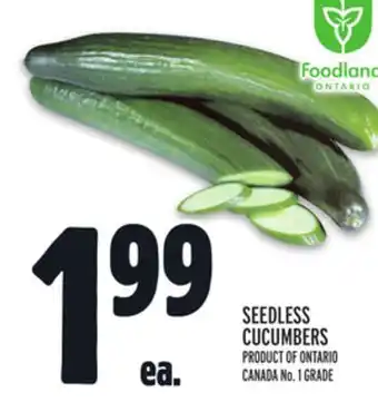 Metro Seedless cucumbers offer