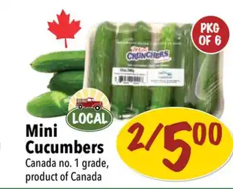 Farm Boy Mini cucumbers offer