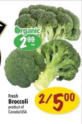 Farm Boy Fresh broccoli offer