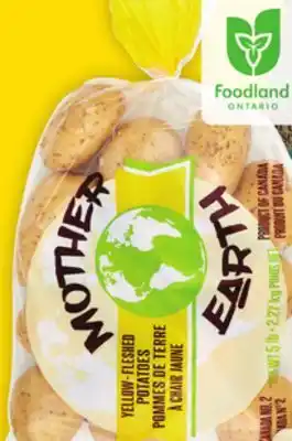 Giant Tiger 5 lb russet or yellow potatoes offer