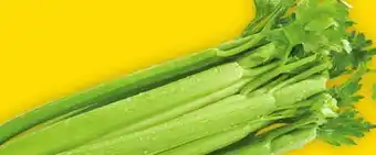 Giant Tiger Celery offer