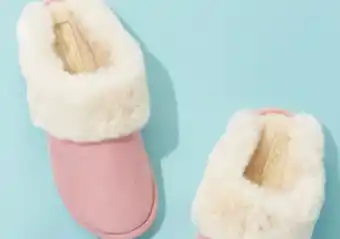 Giant Tiger Slippers offer