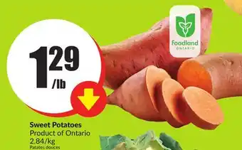 FreshCo Sweet potatoes product of ontario 2.84. kg offer