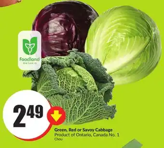 FreshCo Green ,red or savoy cabbage product of ontario , canada no 1 offer