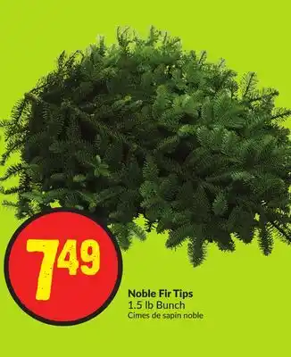 FreshCo Noble fir tips 1.5 lb bunch offer