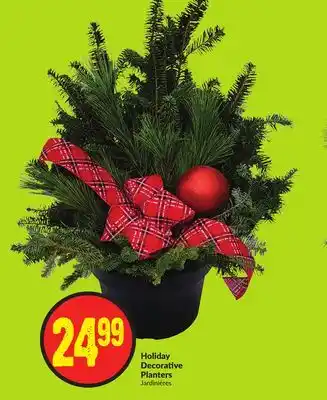 FreshCo Holiday decorative planters offer