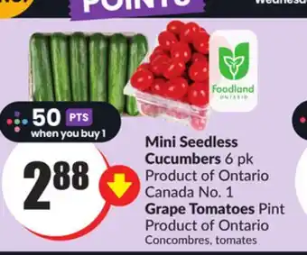 Chalo FreshCo Mini seedless cucumbers 6 pk product of ontario canada no. 1 grape tomatoes pint product of ontario offer