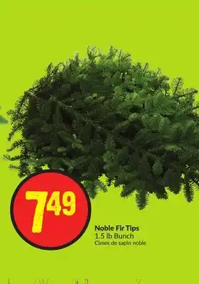 Chalo FreshCo Noble fir tips 1.5 lb bunch offer