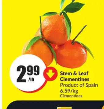 Chalo FreshCo Stem & leaf clementines product of spain 6.59/kg offer