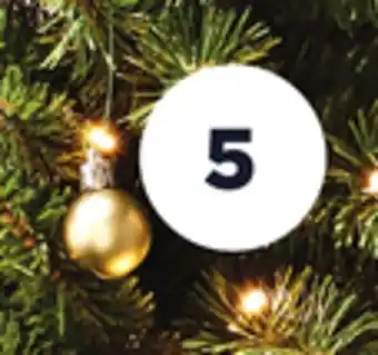 Maxi Ornements bourgogne pour sapin de 30 mm life at home offer