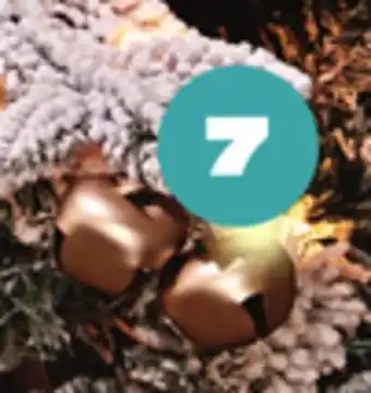 Provigo Ornements en cloche jardin d'hiver life at home, 20 un offer