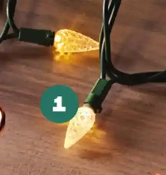 Provigo Guirlandes de lumières à del c6 pour l'extérieur life at home, 100 un offer