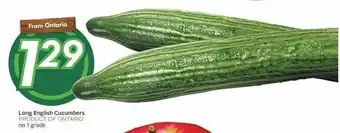 Sobeys Long English Cucumbers offer