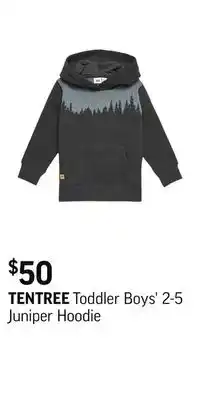 Sport Chek Toddler boys' 2-5 juniper hoodie offer