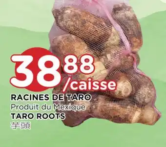 Kim Phat Taro roots offer