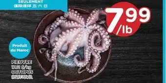 Kim Phat Octopus offer
