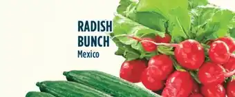 Marché Adonis Radish bunch offer