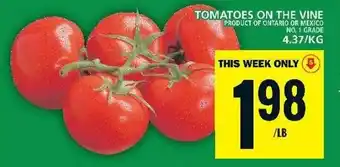 Food Basics TOMATOES ON THE VINE offer