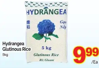 T&T Supermarket Hydrangea glutinous rice, 5kg offer