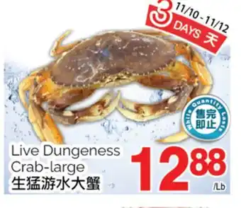T&T Supermarket Live dungeness crab-large offer