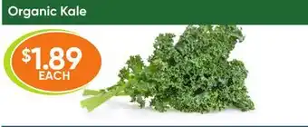 Healthy Planet Organic kale offer
