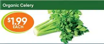 Healthy Planet Organic celery offer