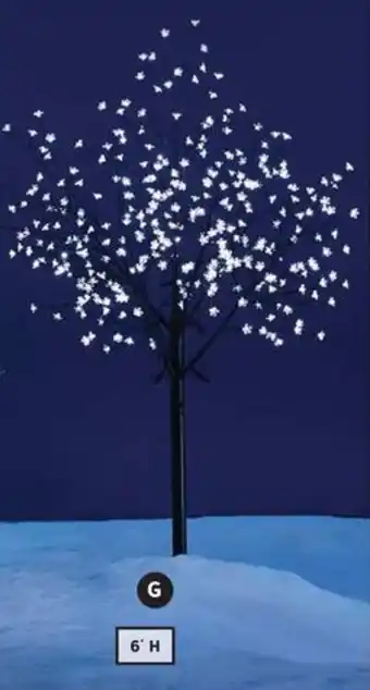 Canadian Tire 6" PURE WHITE BLOSSOM TREE offer