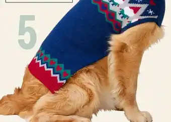 Petvalu Bailey & bella celebrates navy gnome sweater offer