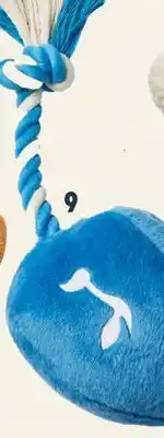 Petvalu Bff dreidel rope toy offer