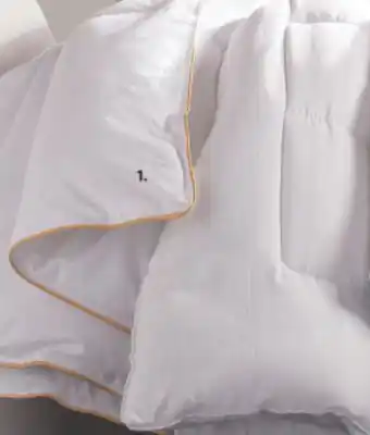 Dormez Vous Fieldcrest luxury microgel duvet offer