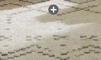 The Brick Astros area rug - 7'10 x 10'6 offer