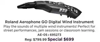 Long & McQuade Roland aerophone go digital wind instrument - graphite offer