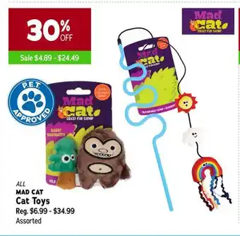 Ren’s Pets Depot All mad cat cat toys offer