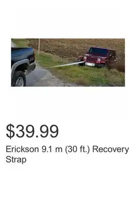 Costco Erickson 9.1 m (30 ft.) recovery strap offer