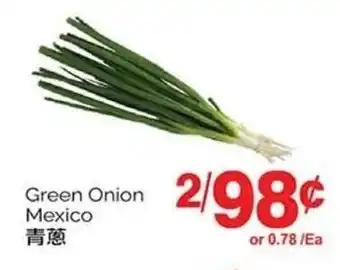 T&T Supermarket Green Onion Mexico offer