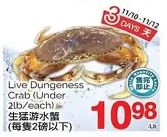 T&T Supermarket Live Dungeness Crab (Under 2lb/each) offer