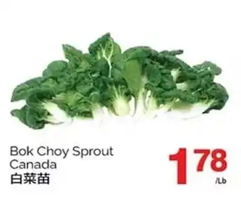 T&T Supermarket Bok Choy Sprout offer