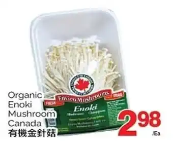 T&T Supermarket Organic Enoki Mushroom offer
