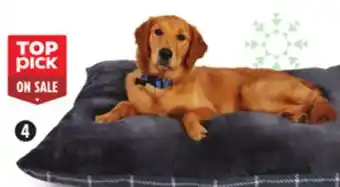 Canadian Tire Petco 35 x 44 pet pillow offer