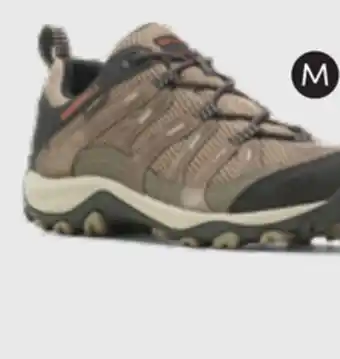 Mark's Men's hikers shoes offer