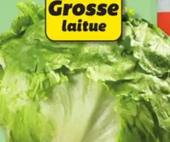 IGA Iceberg lettuce offer