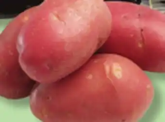 IGA Yellow fleshed red, white or yukon gold potatoes offer