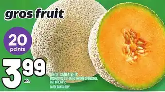 Metro Gros cantaloup | large cantaloupe offer
