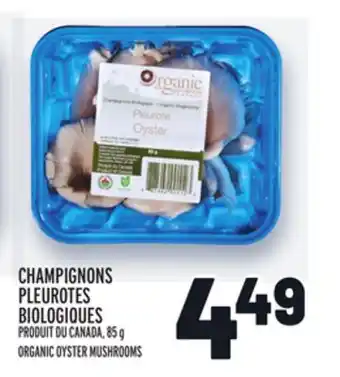 Metro Champignons pleurotes biologiques | organic oyster mushrooms offer