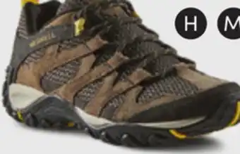 L'équipeur Men's hikers offer