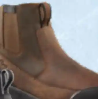 L'équipeur Icefx winter boots offer